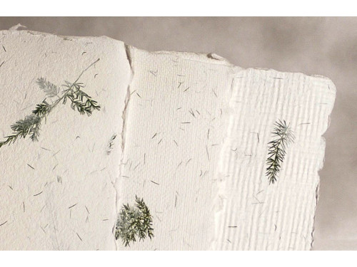 Handmade paper - Kalander - asparagus, smooth, A4