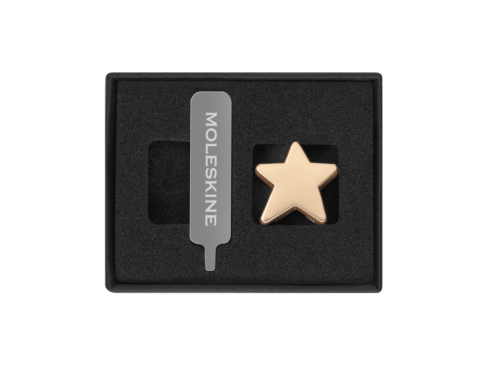 Notebook pin, Star - Moleskine - gold