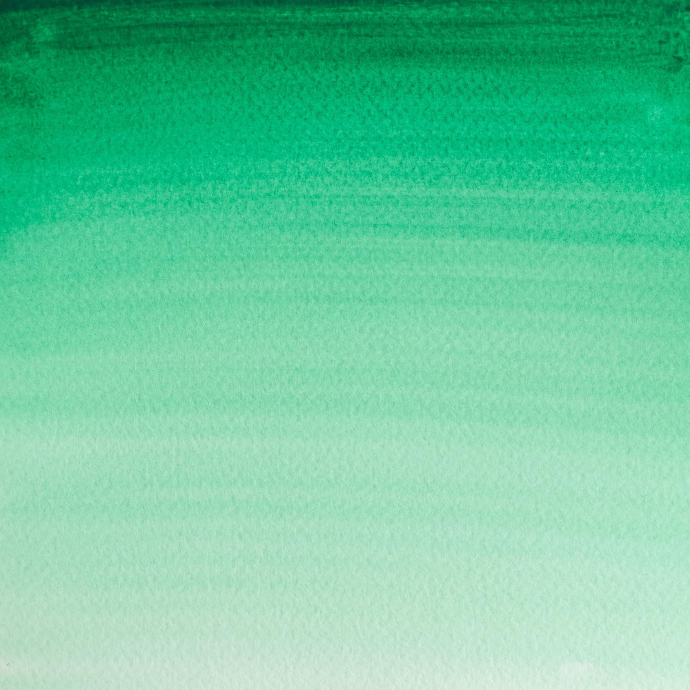Cotman Watercolor Paint - Winsor & Newton - Intense Green Row, 8 ml
