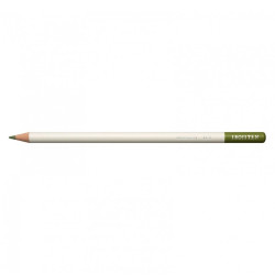 Color pencil Irojiten - Tombow - DL4, Sage Green