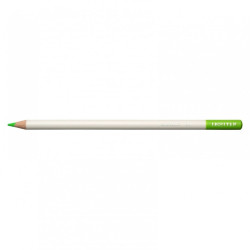 Color pencil Irojiten - Tombow - F9, Flash Green