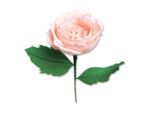 Thinlits cutting dies set - Sizzix - Garden Rose, 7 pcs.