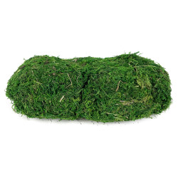 Decorative moss - green, 100 g
