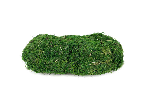 Decorative moss - green, 100 g