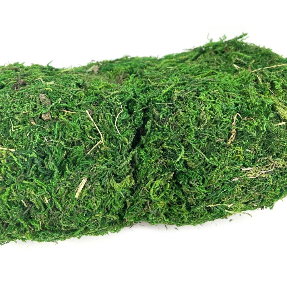 Decorative moss - green, 100 g