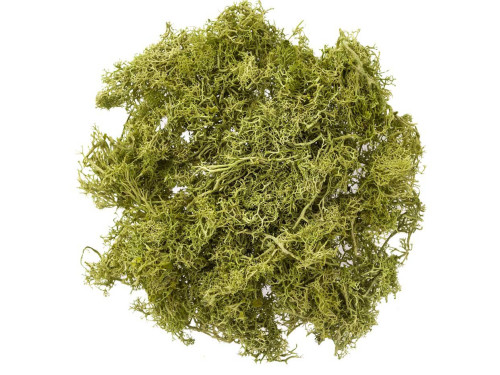 Decorative reindeer moss - DpCraft - light green, 30 g
