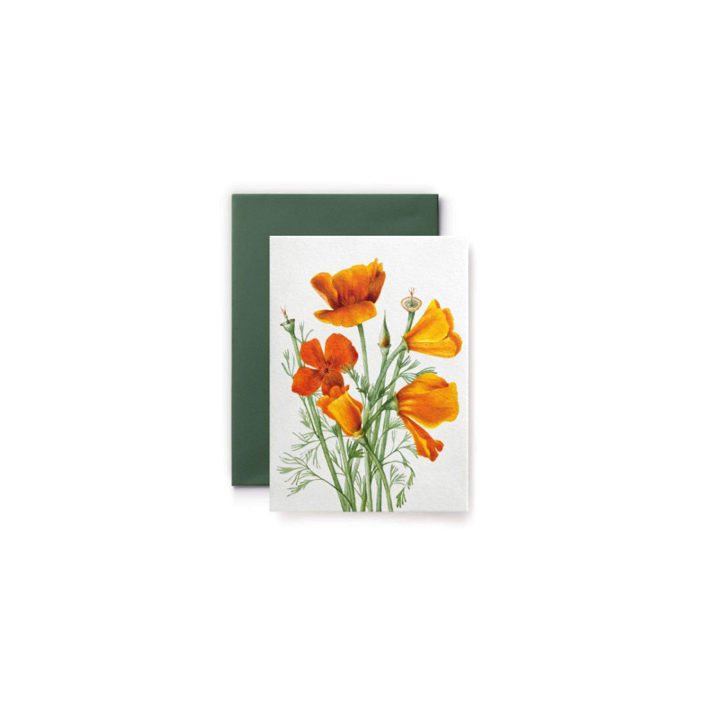 Greeting card Walcott - Suska & Kabsch - California Poppy, 15,4 x 11 cm