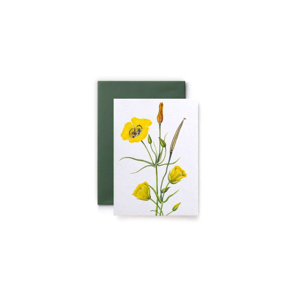 Greeting card Walcott - Suska & Kabsch - Mariposa Lily, 15,4 x 11 cm