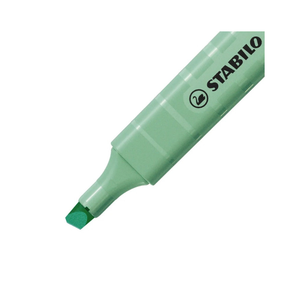 Buy STABILO Swing Cool Pastel Highlighter Single Pen Touch of Mint Green  Online at desertcartSeychelles