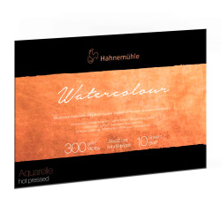 The Collection Watercolour paper pad - Hahnemühle - hot pressed, 24 x 32 cm, 300 g, 10 sheets