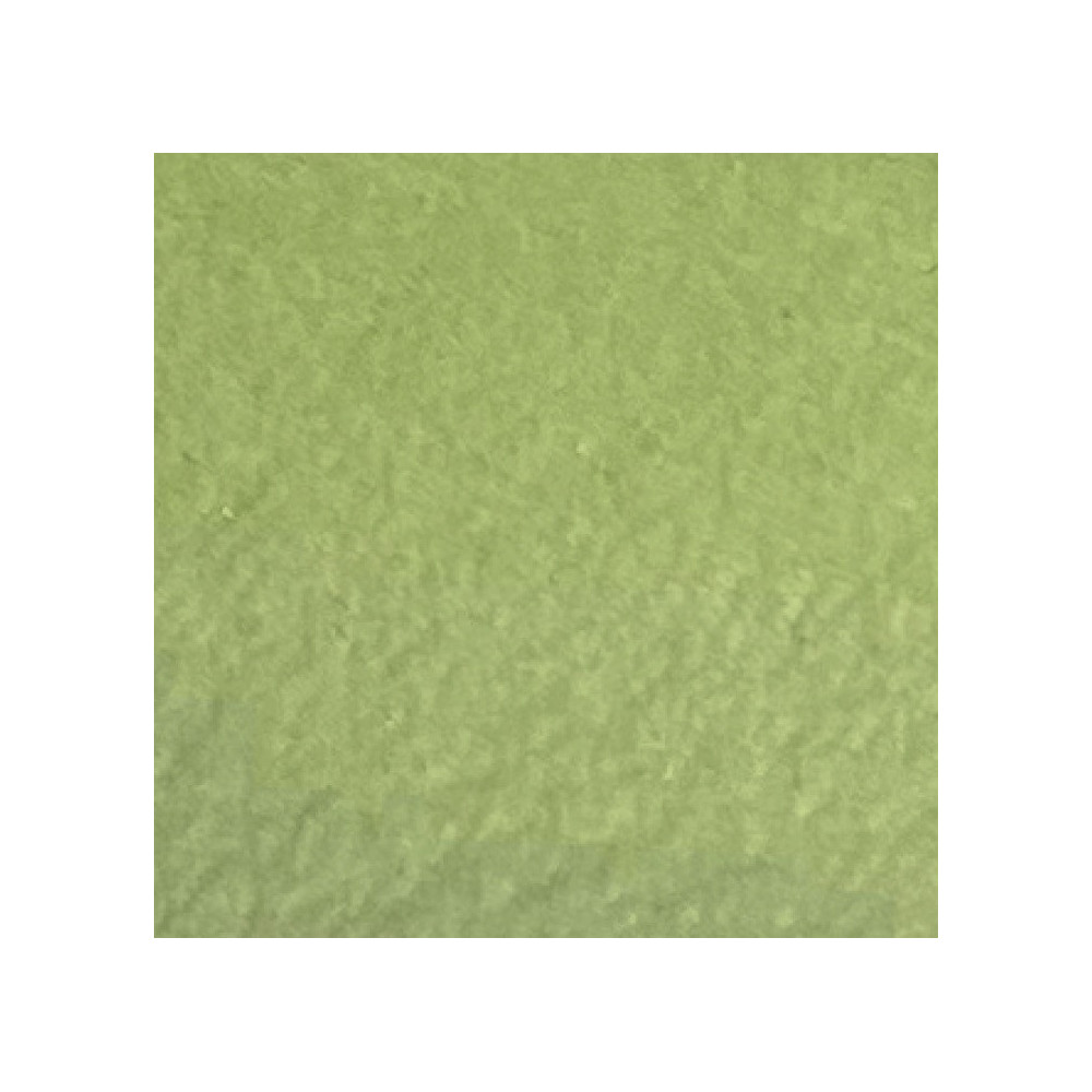 Farba do skór Setacolor Cuir Leather - Pébéo - 49, Phosphorescent, 45 ml