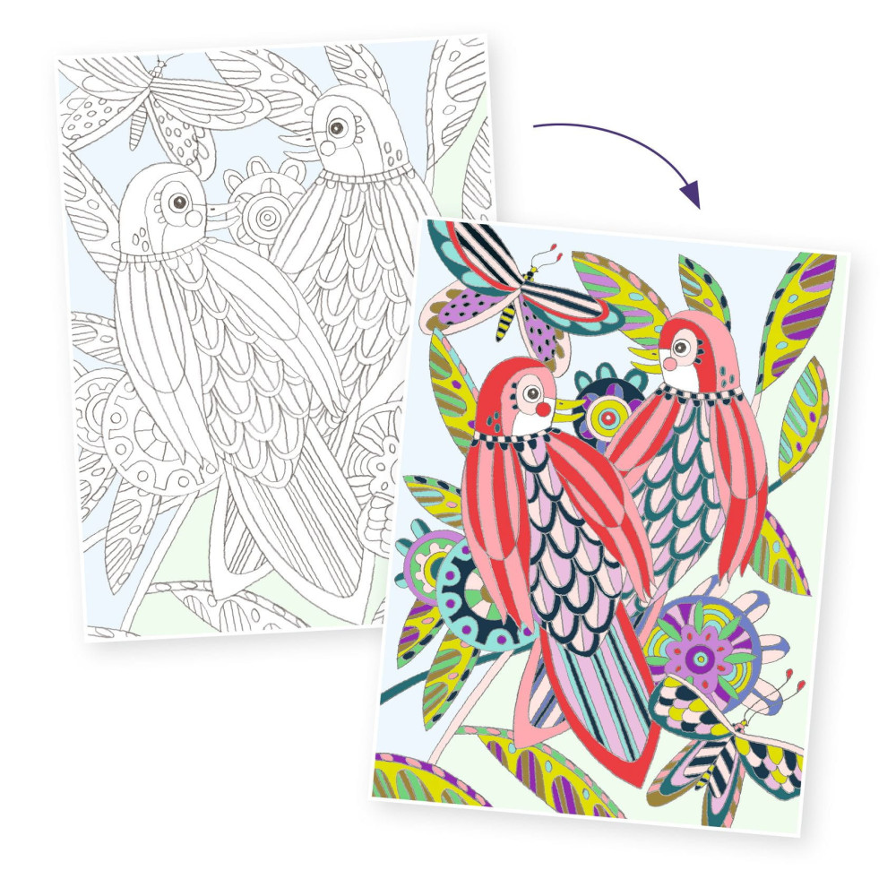 Colouring Gallery - Djeco - Birds, 3 pcs.