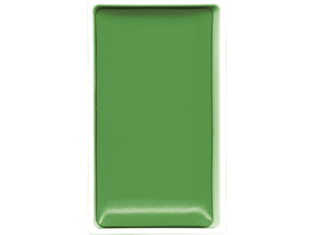 Farba akwarelowa w kostce Gansai Tambi - Kuretake - Ivy Green