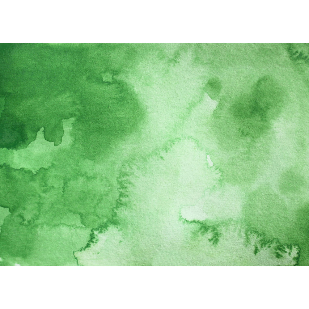 Watercolor paint pan Gansai Tambi - Kuretake - Ivy Green
