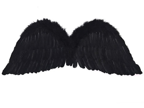 Angel wings for Halloween - black, 30 x 75 cm