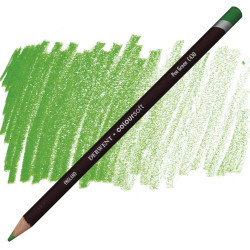 Coloursoft pencil - Derwent - C430, Pea Green