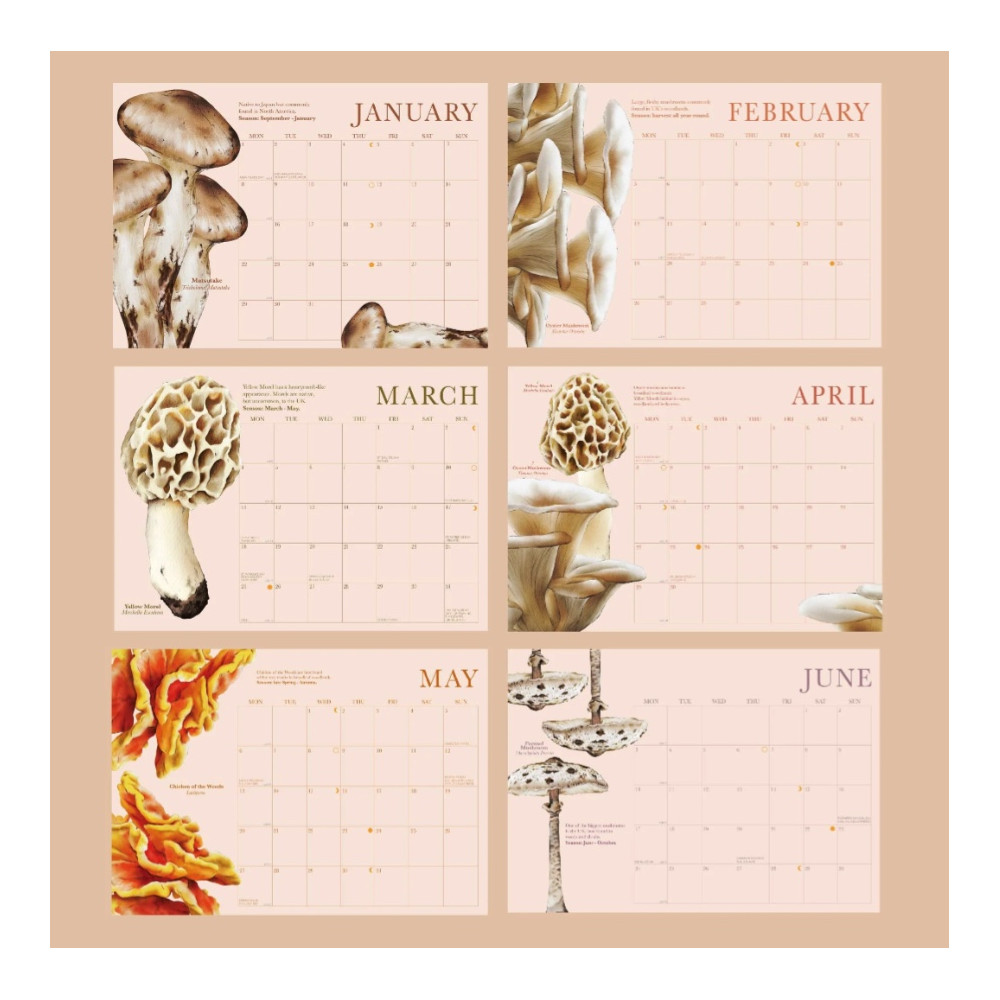 Kalendarz ścienny Mushrooms 2024 Once Upon a Tuesday A4