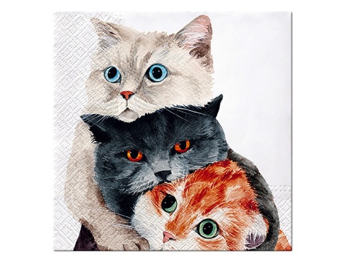 Serwetki ozdobne - Paw - Better Together, 20 szt.