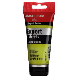 Expert acrylic paint - Amsterdam - 617, Yellowish Green, 75 ml