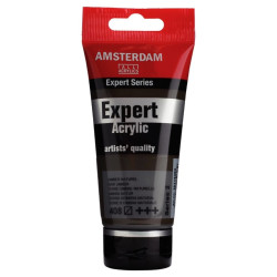 Expert acrylic paint - Amsterdam - 408, Raw Umber, 75 ml