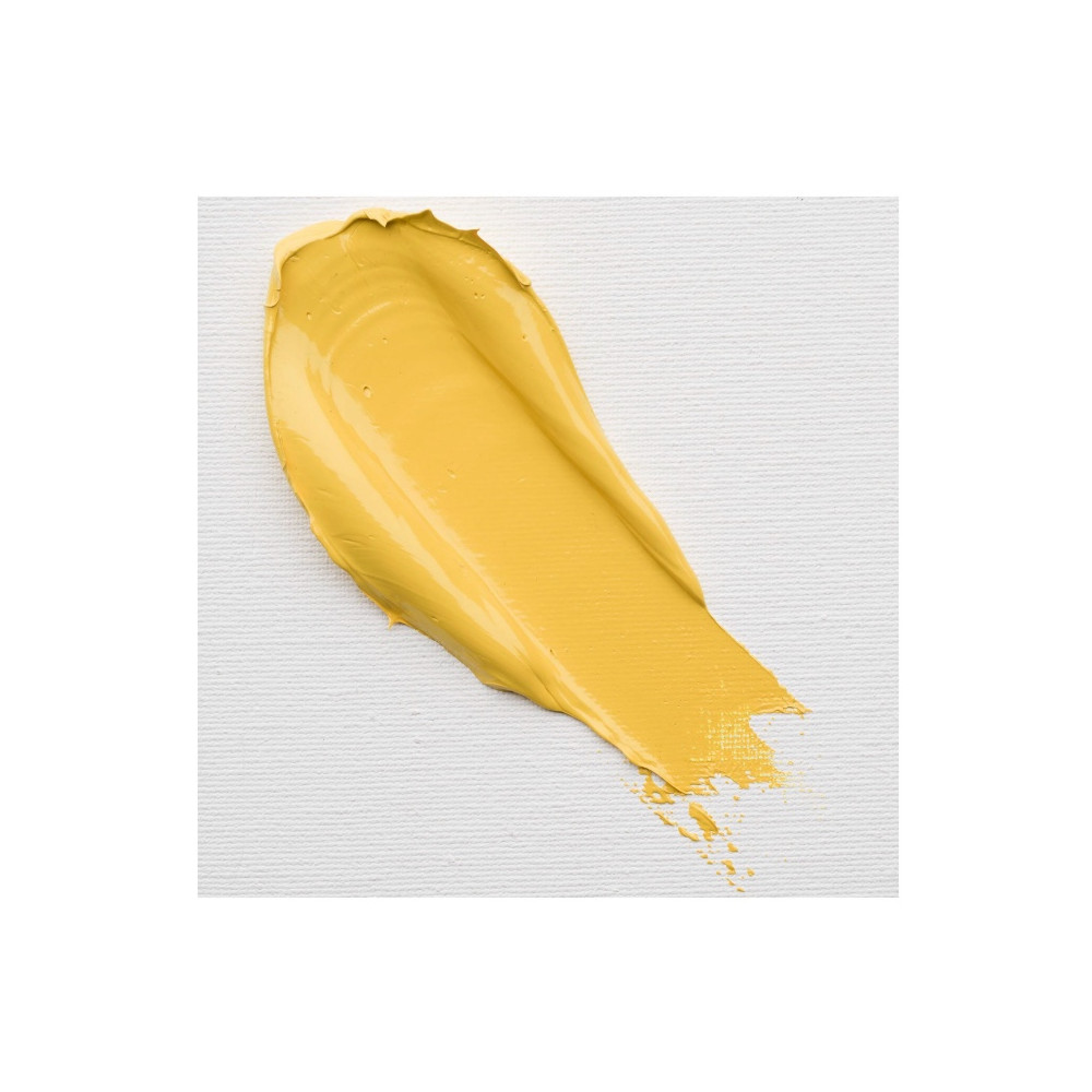 Cobra Study oil paint - Cobra - 223, Naples Yellow Deep, 40 ml