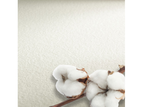 The Collection Watercolour paper - Hahnemühle - rough, 56 x 76 cm, 300 g, 10 sheets