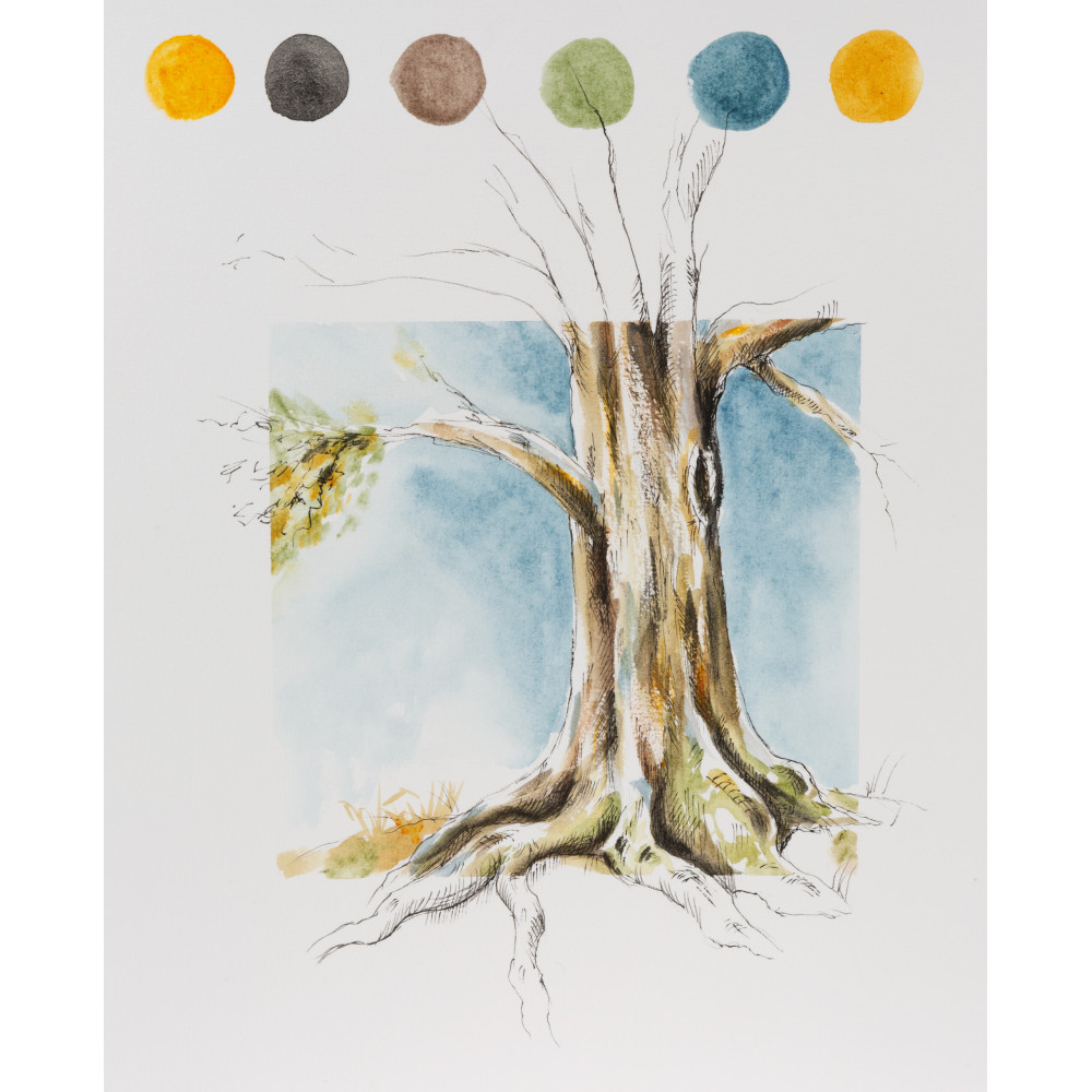 Horadam Naturals watercolor paint - Schmincke - 620, Yellow Ochre, 15 ml