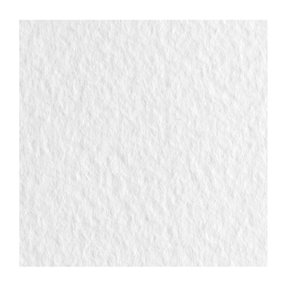 Papier Tiziano 160g - Fabriano - Bianco, biały, B1