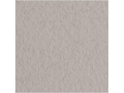 Papier Tiziano 160g - Fabriano - China, szary, B1