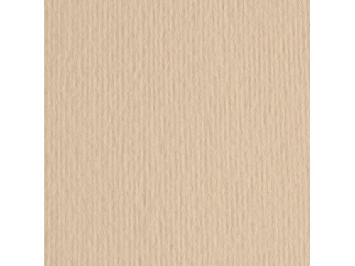 Elle Erre Paper 220g - Fabriano - Panna, cream, B1