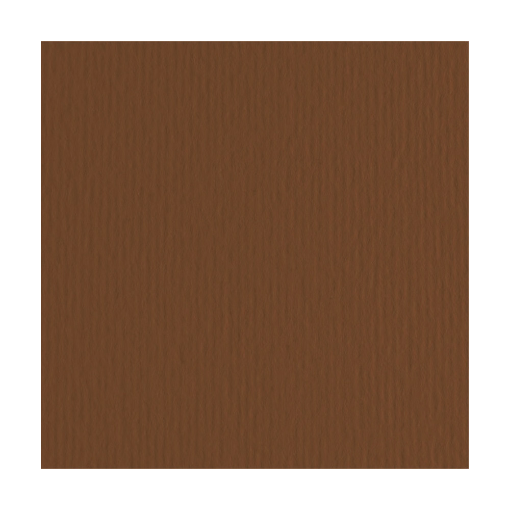 Elle Erre Paper 220g - Fabriano - Marrone, brown, B1