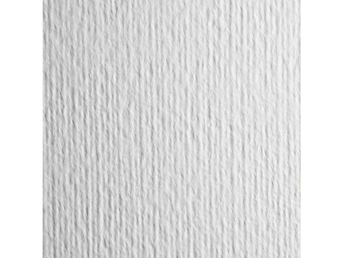 Papier Pittura do akryli i oleju 400g - Fabriano - biały, B1