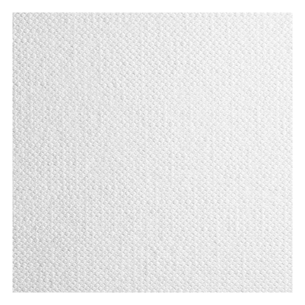 Papier Tela do oleju 300g - Fabriano - biały, 50 x 65 cm