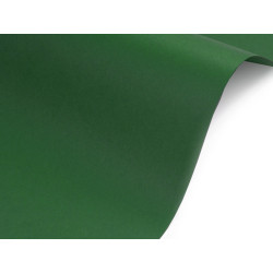Papier Sirio Color 140g - Foglia, zielony, A5, 20 ark.