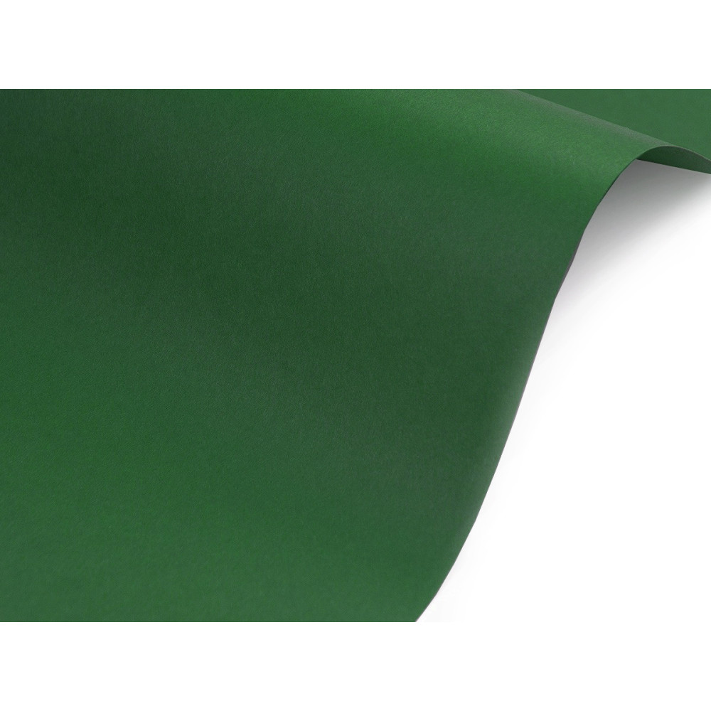 Sirio Color Paper 140g - Foglia, dark green, A5, 20 sheets