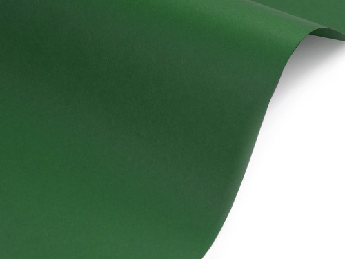 Papier Sirio Color 140g - Foglia zielony A4