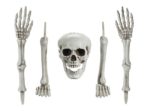 Halloween decoration Skeleton - 5 elements