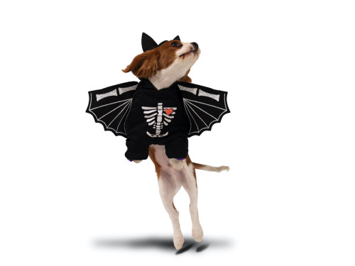 Halloween costume - black, 45 x 35 cm