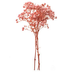 Sprigs of gypsophila - DpCraft - light pink 15-20 cm 4 pcs.