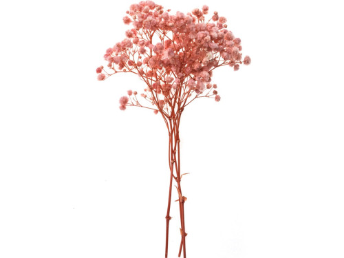 Sprigs of gypsophila - DpCraft - light pink, 20 cm, 4 pcs.