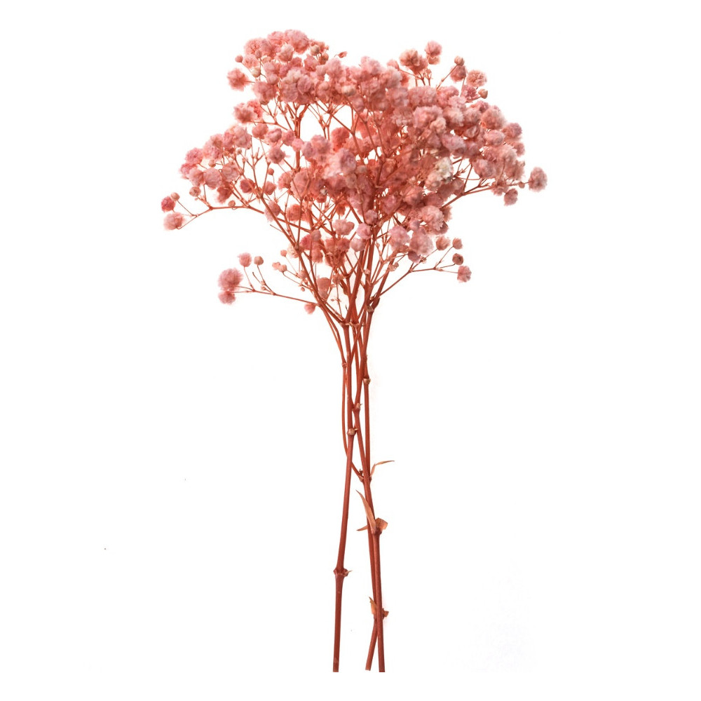 Gałązki gipsówki - DpCraft - light pink 15-20 cm 4 szt.