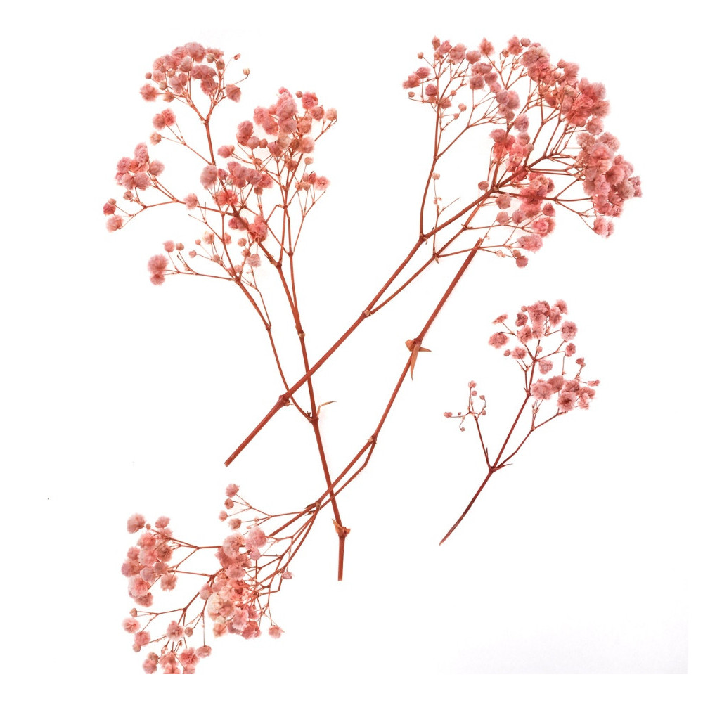 Sprigs of gypsophila - DpCraft - light pink 15-20 cm 4 pcs.