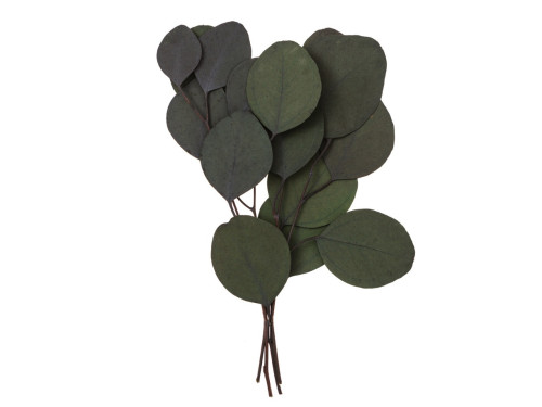 Eucalyptus Populus - DpCraft - green, 20 cm, 4 pcs.