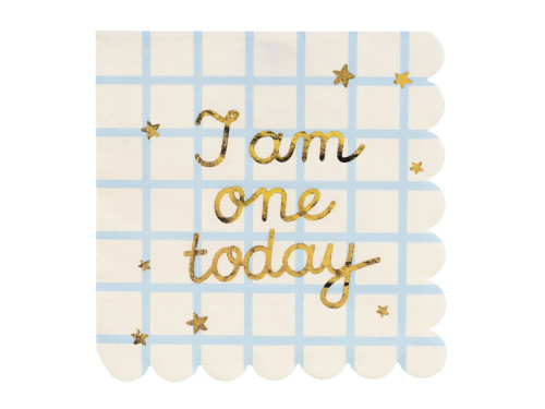 Paper napkins I Am One Today - 16,5 x 16,5 cm, 12 pcs.