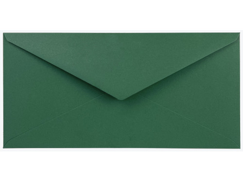 Koperta Sirio Color 140g - DL Foglia zielona