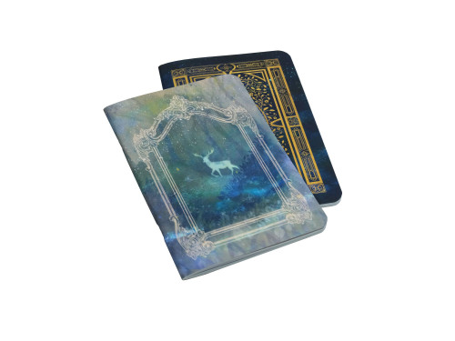 Zestaw zeszytów Book of Wonders & Forest Spirit - Devangari - 2 szt.