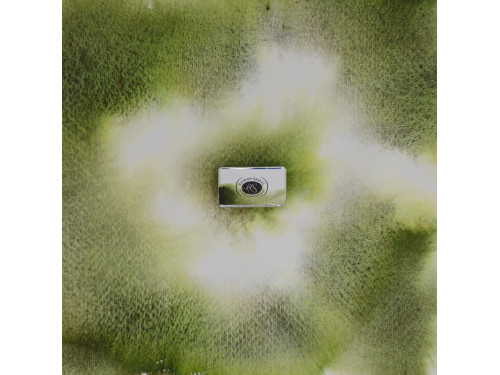 Aquarius watercolor paint - Roman Szmal - 271, Forest Green, pan