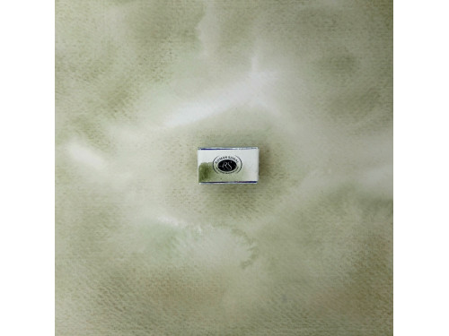 Aquarius watercolor paint - Roman Szmal - 274, Davy's Gray, pan