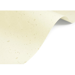 Papier Curious Particles 240g - Cream Rose kremowy A4