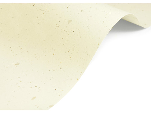 Curious Particles paper 240g - Cream Rose A4